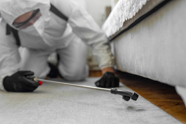 Professional Bed Bug Control technician working in Huntington, WV