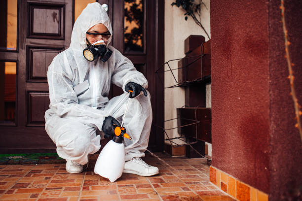 Reliable Bed Bug Control contractor in Huntington, WV by Nex Pest Control