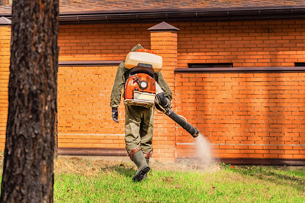 Trusted Rodent Control service in Huntington, WV - Nex Pest Control